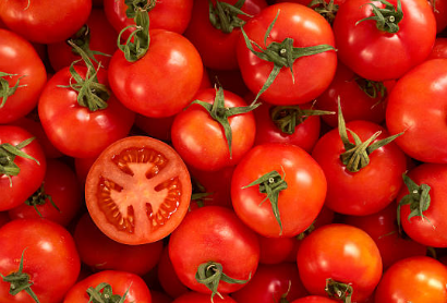 토마토 효능&amp;#44; 보관방법&amp;#44; 부작용 총정리 (2024ver)