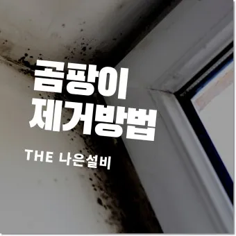 곰팡이 냄새 빨래통 환기와 햇빛 건조 베이킹소다 뿌리기_8