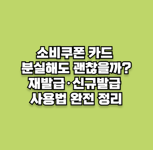 소비쿠폰 카드 분실·재발급·신규발급 시 사용방법 총정리