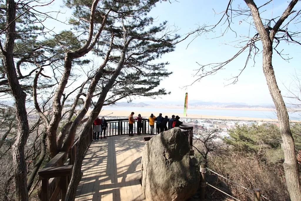 심학산 둘레길의 꽃, 낙조전망대에서 바라본 파주출판단지 및 한강 전경 풍경 사진입니다.