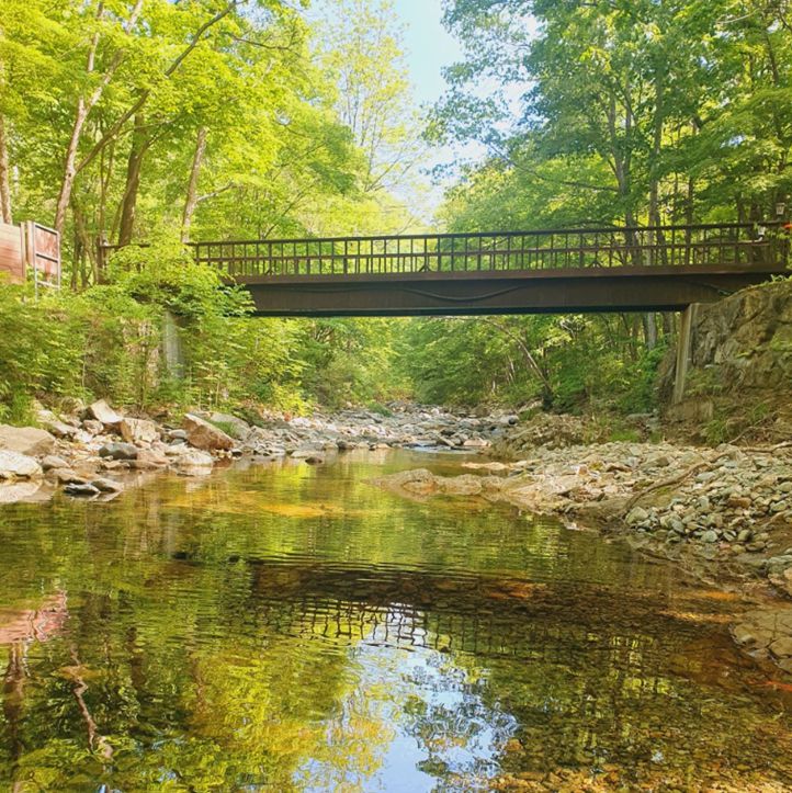 삼봉자연휴양림