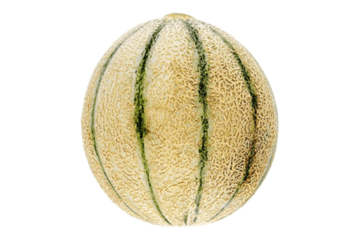 칸탈로프 멜론 효능01