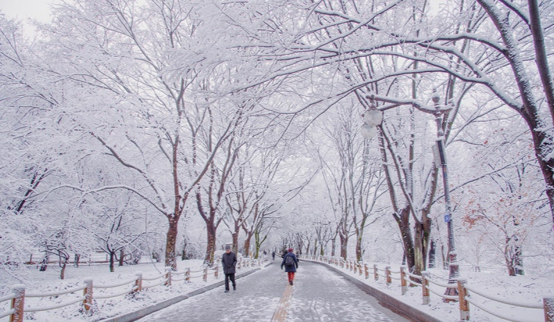 성남 반려견 겨울 산책 명소 BEST 5, 강아지와 걷기 좋은 실제 코스