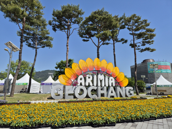 [5월 축제]창포원❘2025 거창에 온 봄 축제, 아리미아꽃축제,거창한 산양삼 축제