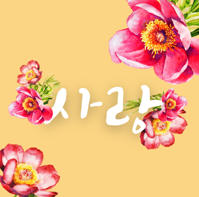 금쪽같은 내새끼 사랑