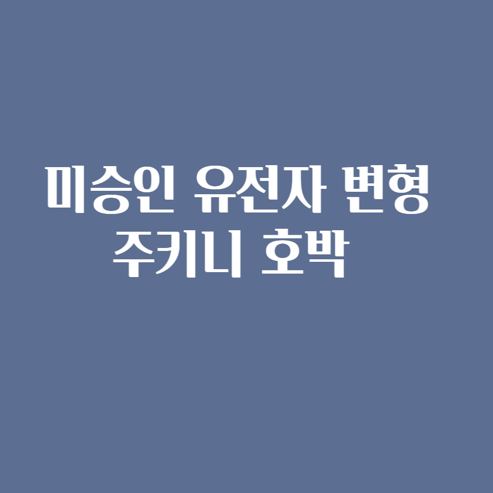 미승인 유전자 변형 주키니 호박