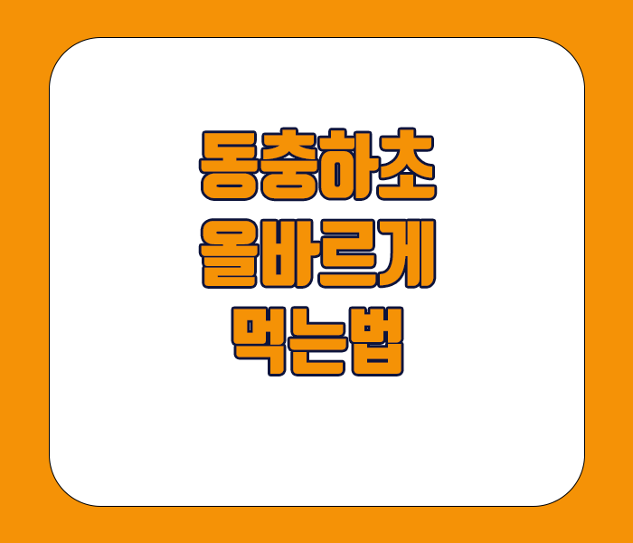 동충하초 올바르게 먹는방법