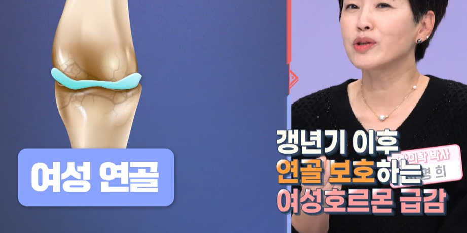 msm의 효능