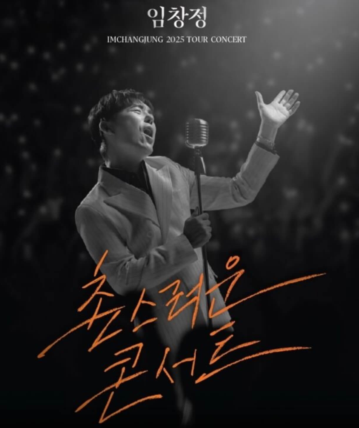 임창정 투어콘서트