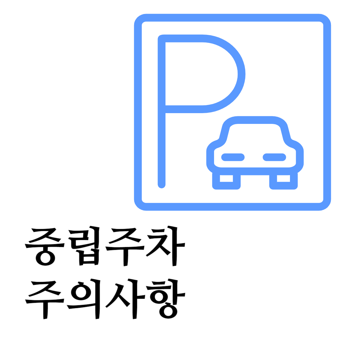 중립주차주의사항