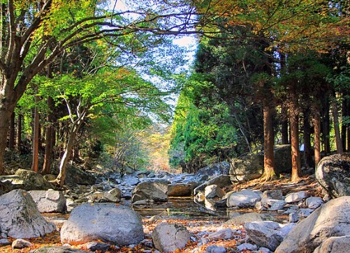 내장산-단풍축제-계곡