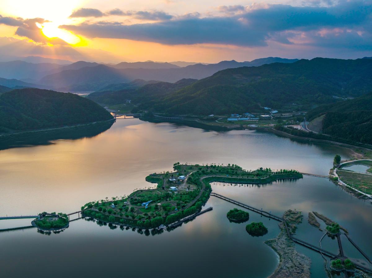 가을 대형견 여행 – 양구 한반도섬 호수 데크길 감성 가이드