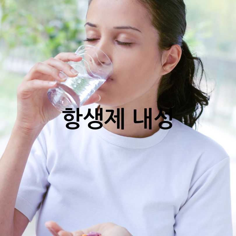 항생제 부작용