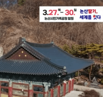 2025 논산 딸기 축제
