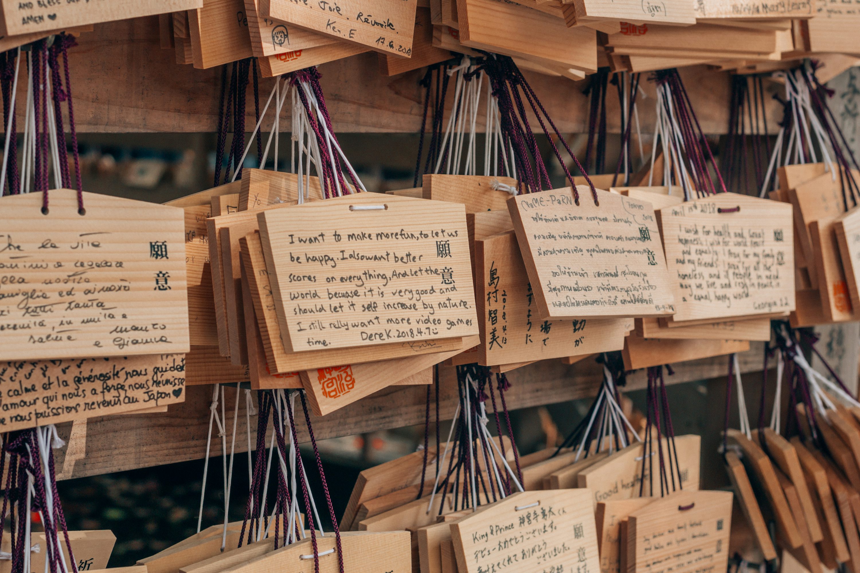 오늘의 운세 사진