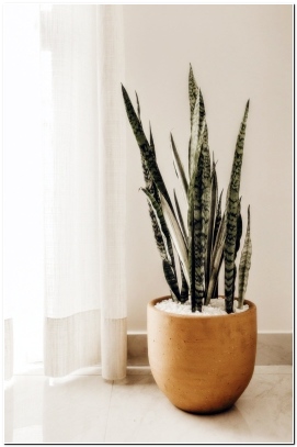 정전기 없애는법