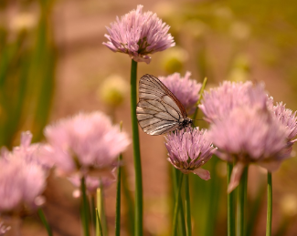 전기요금 할인 중복 받을 수 있나요? 가능한 조합 총정리