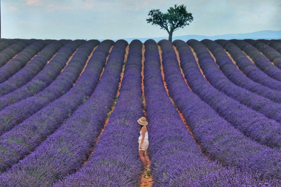 Provence