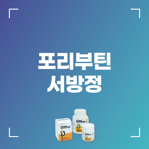 포리부틴 서방정 300mg 효능 복용법 주의사항