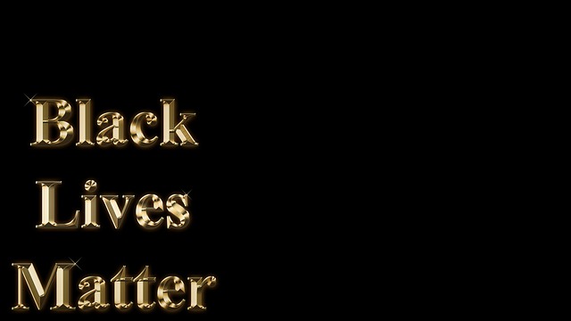 헬프를 통해 본 1960년대 미국과 한국 사회 비교