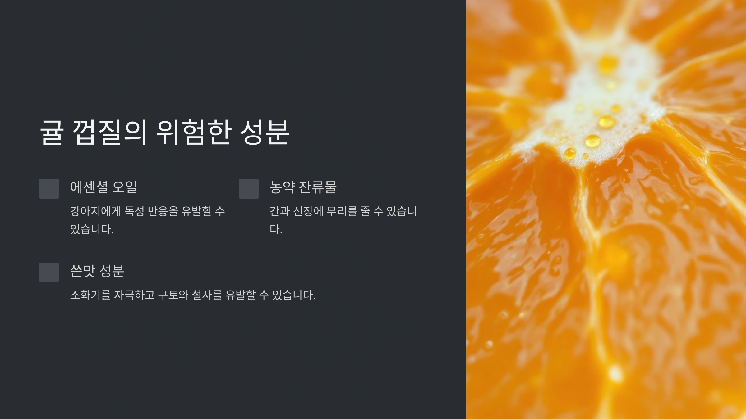 귤 껍질의 성분과 강아지에게 미치는 영향