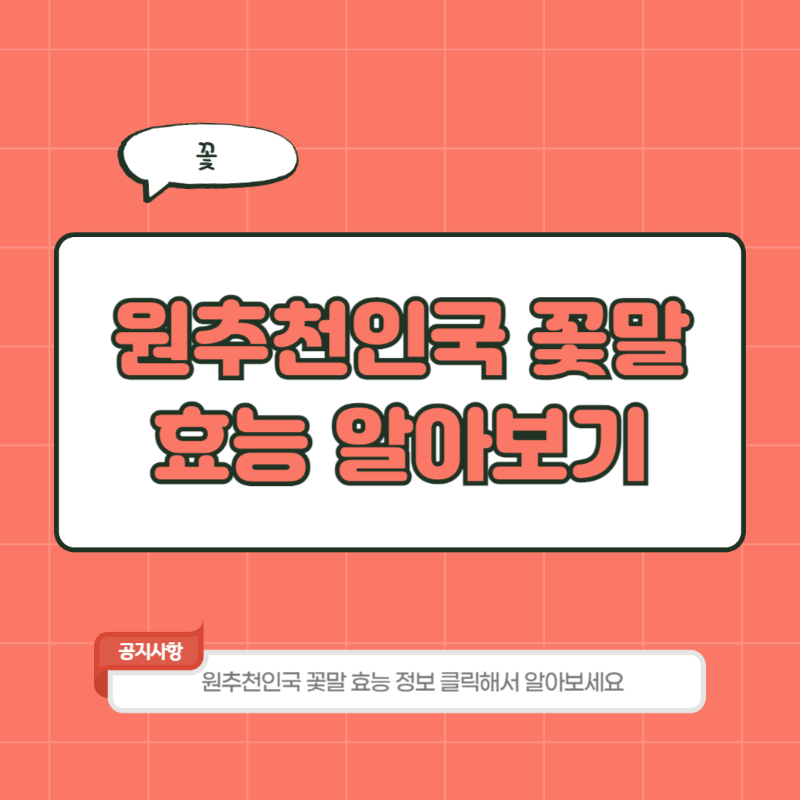 원추천인국 꽃말 효능 개화 시기 관리 방법