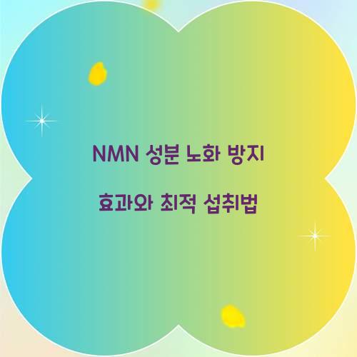 NMN 성분 노화 방지