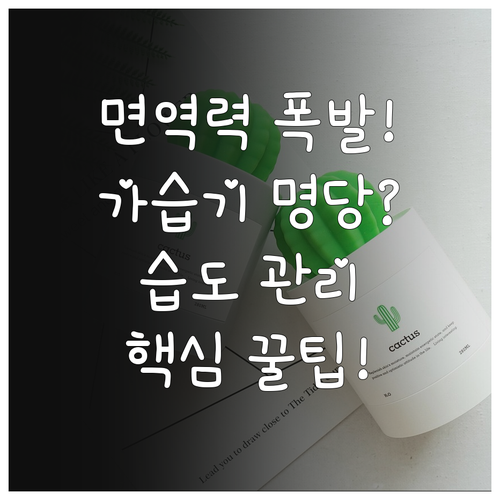 면역력 높이는 실내 적정 습도 관리와..
