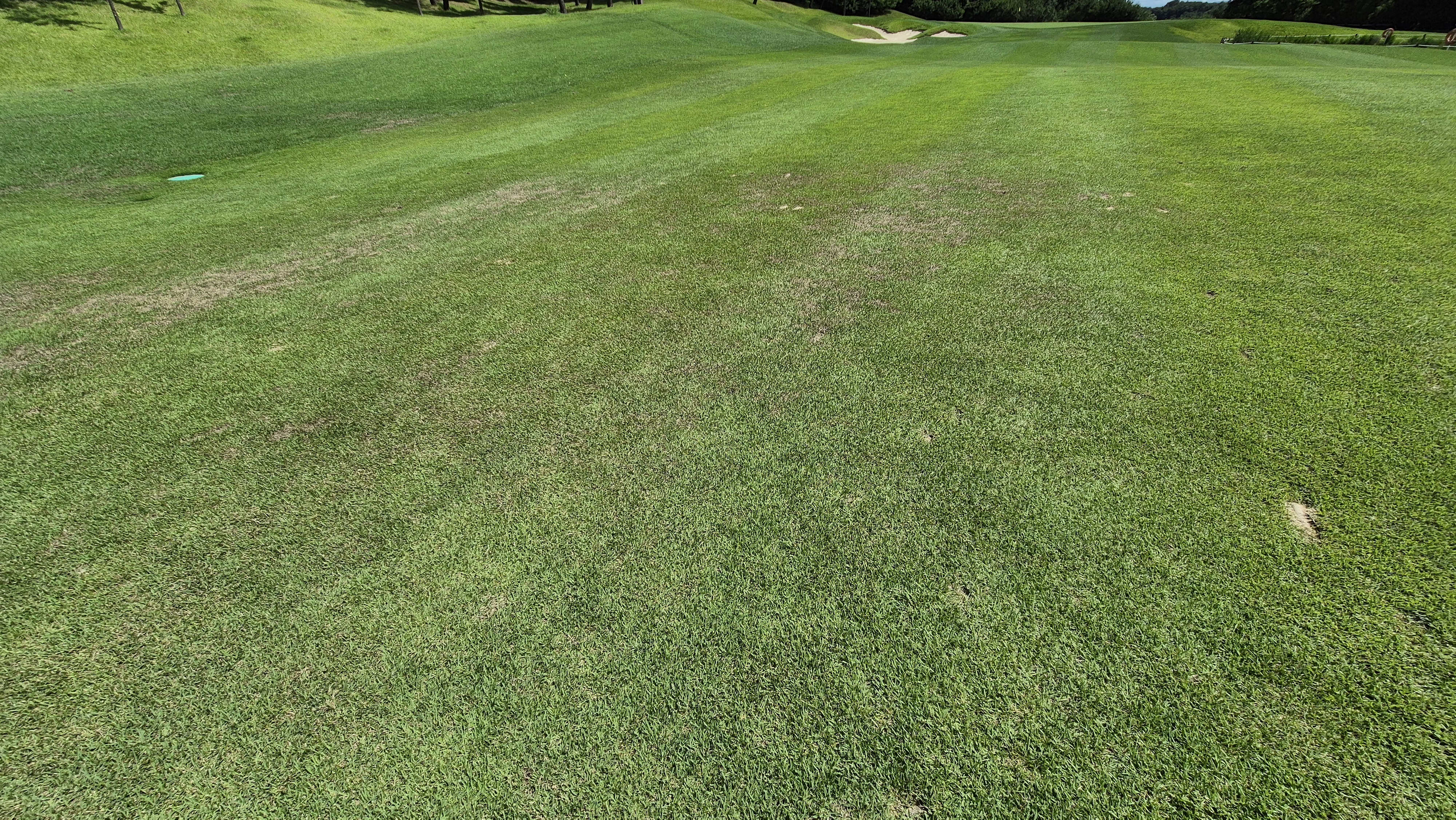 SG 아름다운cc 라운드 후기