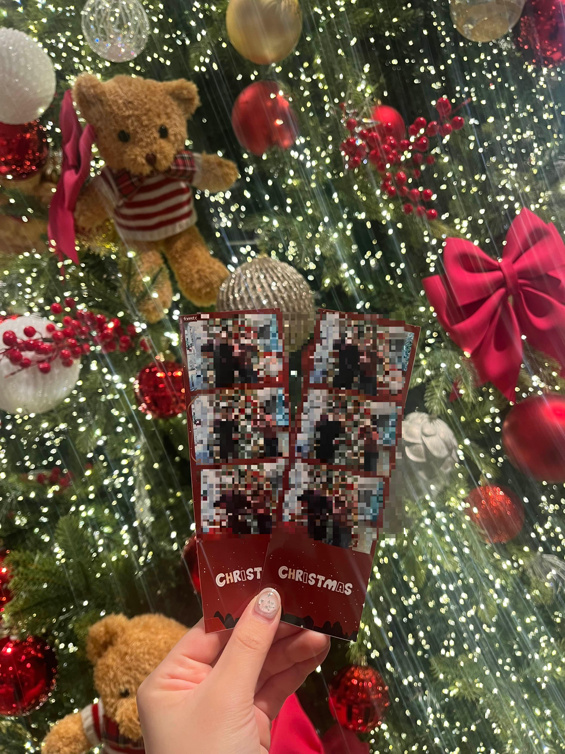 용인 포레스트아웃팅스의 크리스마스 트리