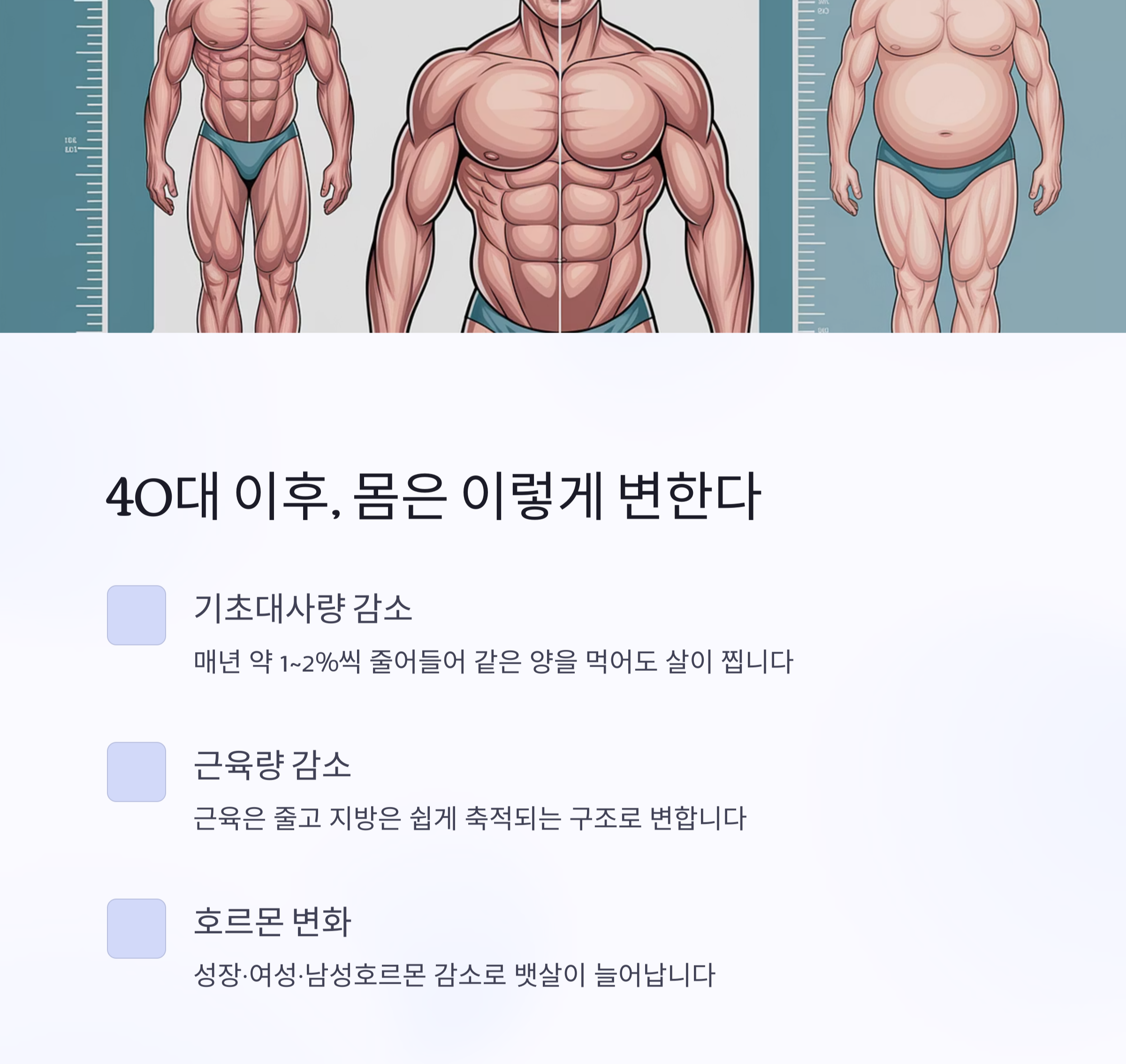 중년다이어트