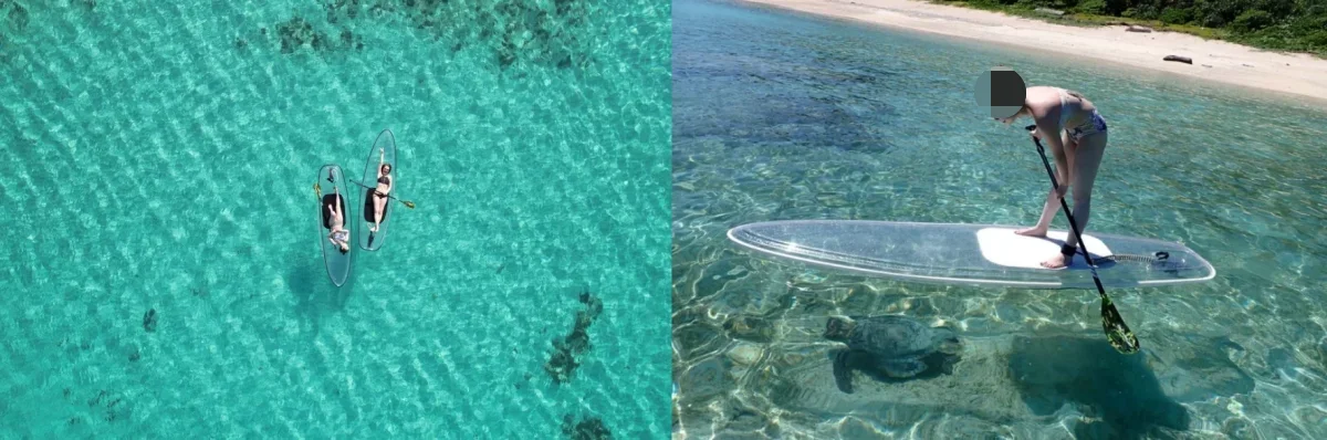 클리어 패들 보트 & 스노쿨링