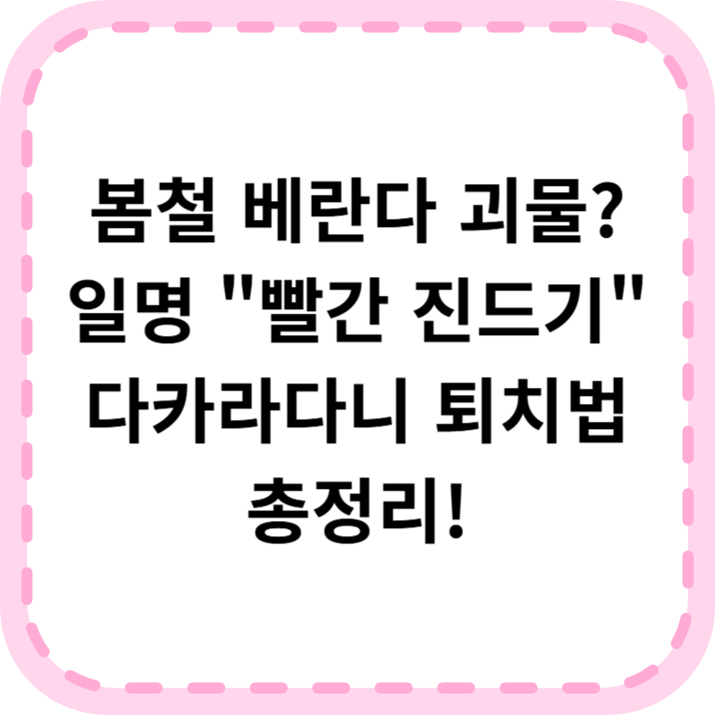 빨간진드기 다카라다니 퇴치법 (+예방법, 응급처치법)