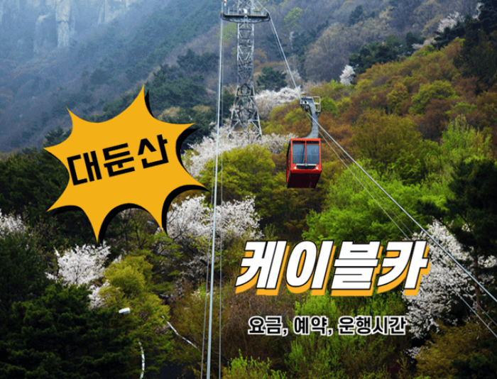 대둔산 케이블카 요금