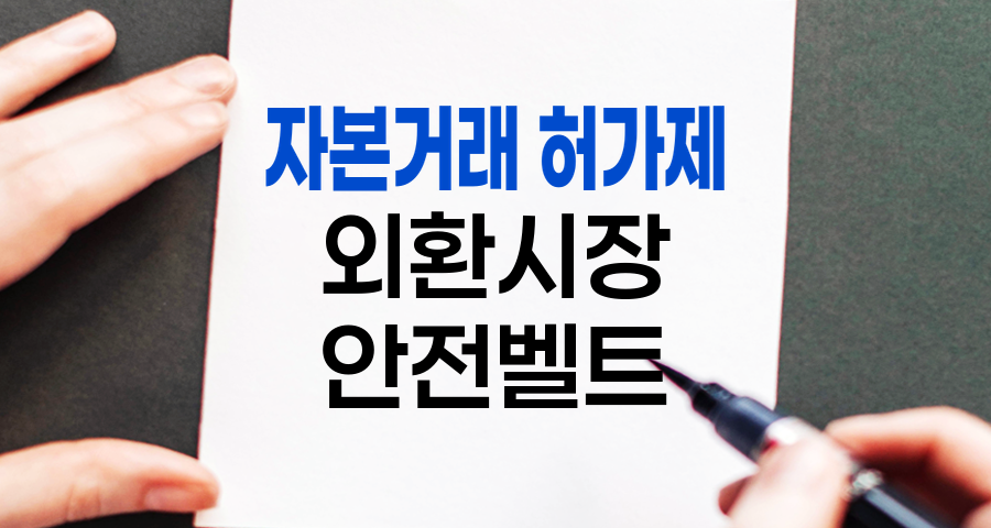 자본거래 허가제, 외환시장의 안전벨트
