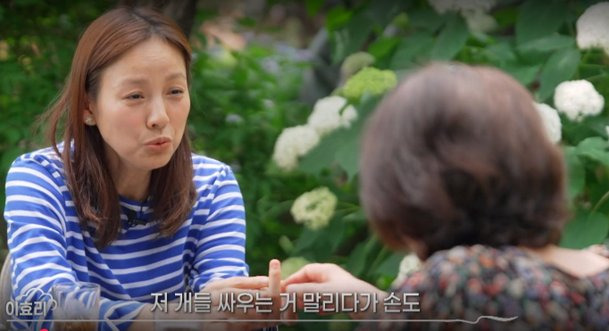 이효리 개물림 사고