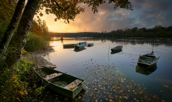 국민은행 정기예금 금리 지금 가입? 13