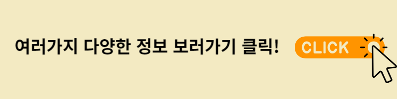 다양한 정보 보러가기