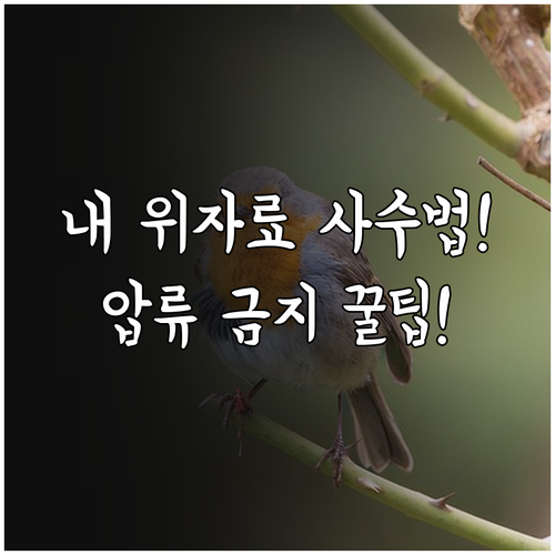 채무자 위자료 안전하게 받는 법과 최..