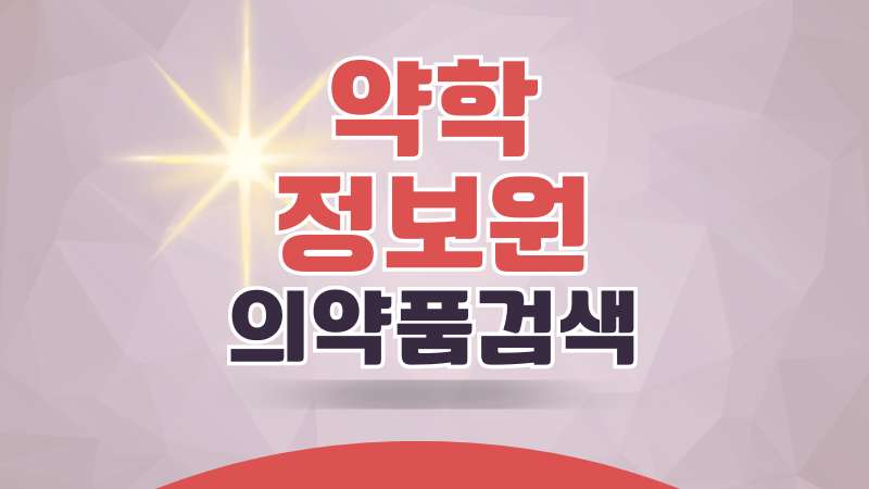 약학정보원 의약품검색