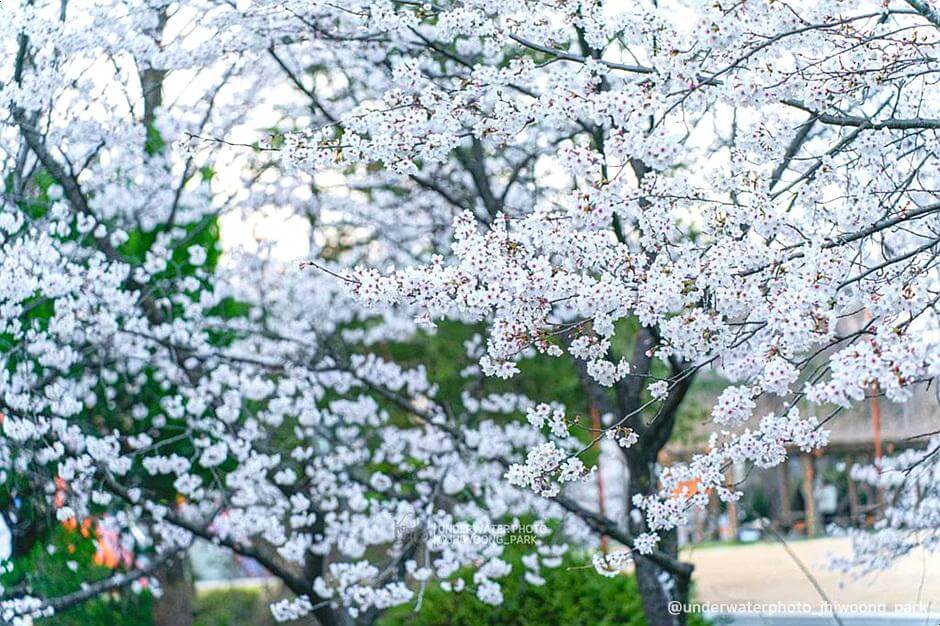 신용사면