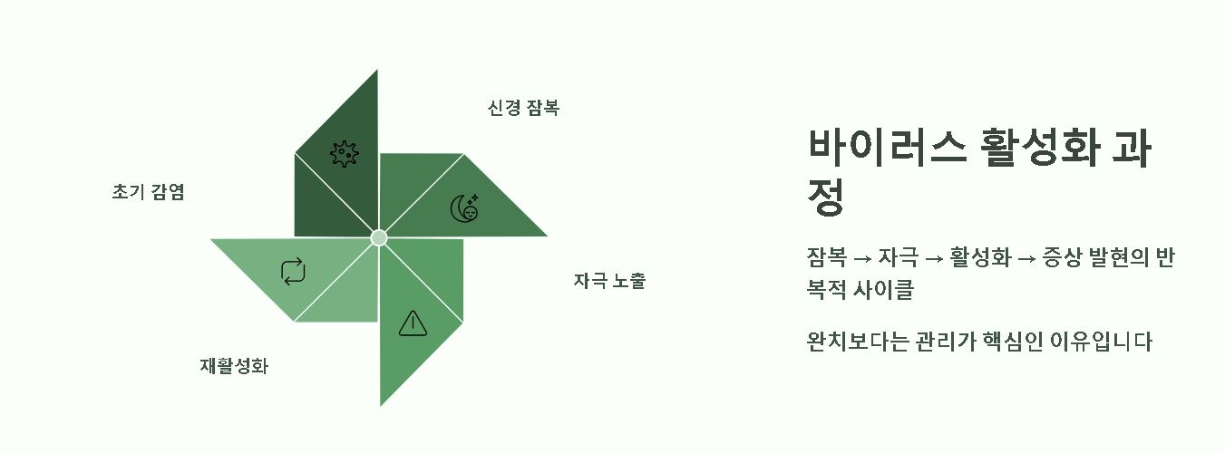 입술 포진 원인