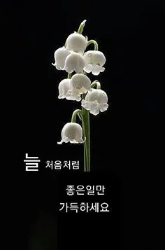 아침 인사 문자 날씨 변화에 맞춘 안부 문장 하루를 여는 표현_1
