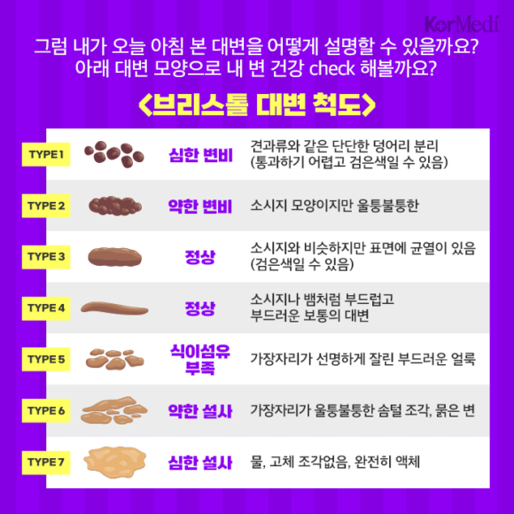 alt=&quot;브리스의 배변 척도&quot;