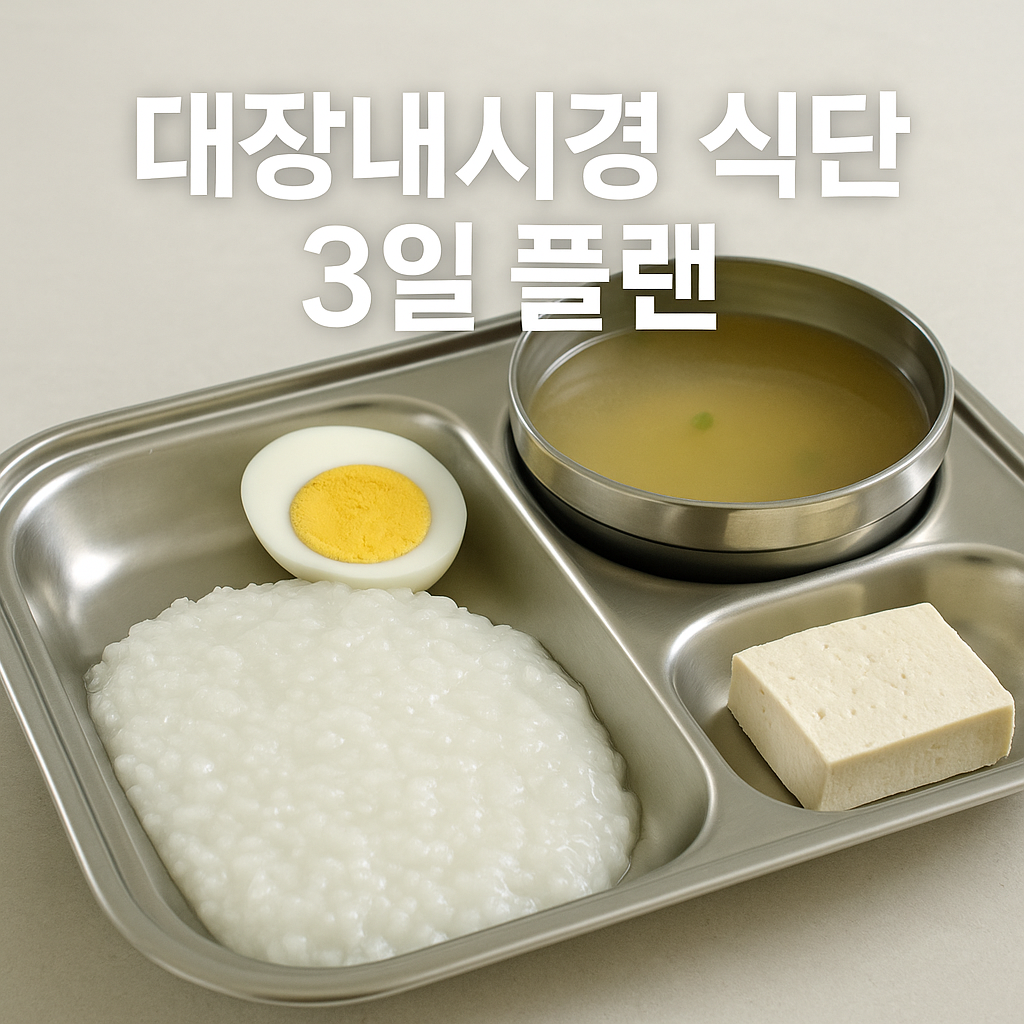 대장내시경 3일 플랜, 실사형 이미지