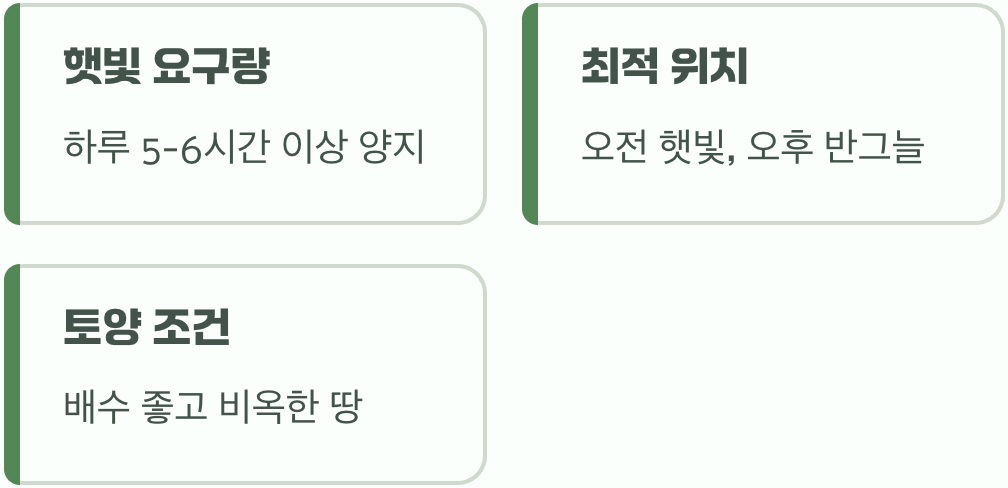 여왕을 위한 최고의 자리