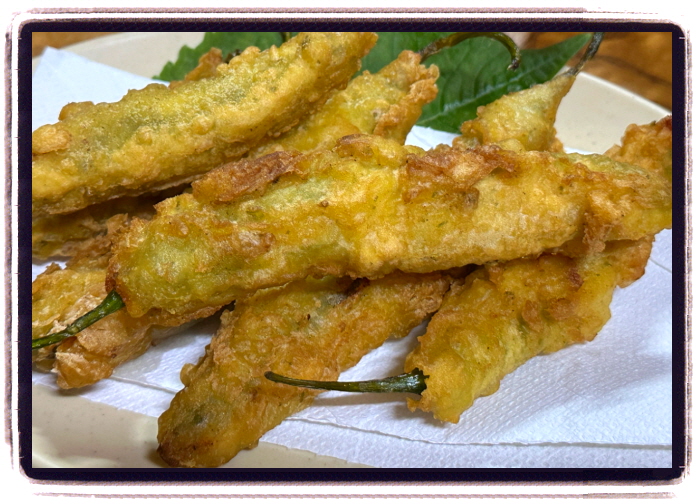 생생정보 할매밥됩니까 김치찌개 전 메뉴