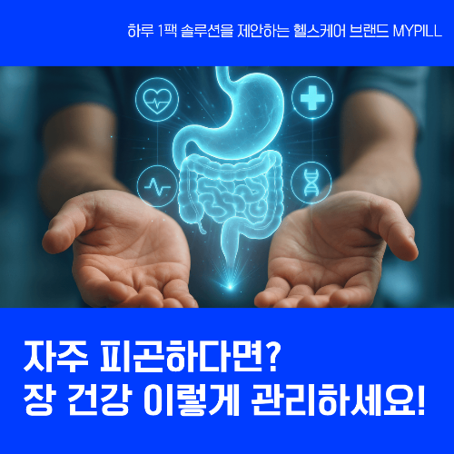 장 건강과 컨디션 관계, 유산균