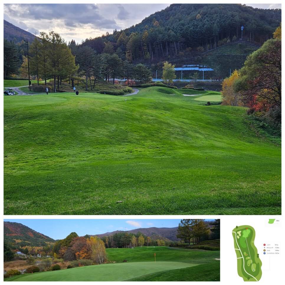 골프장 경험담 모나용평cc 해발 780m 청정 지역의 골프장 용평 리조트