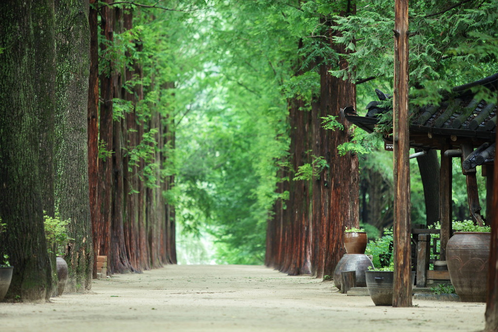 2025 광복절 서울근교 당일치기 여행 추천 TOP 5